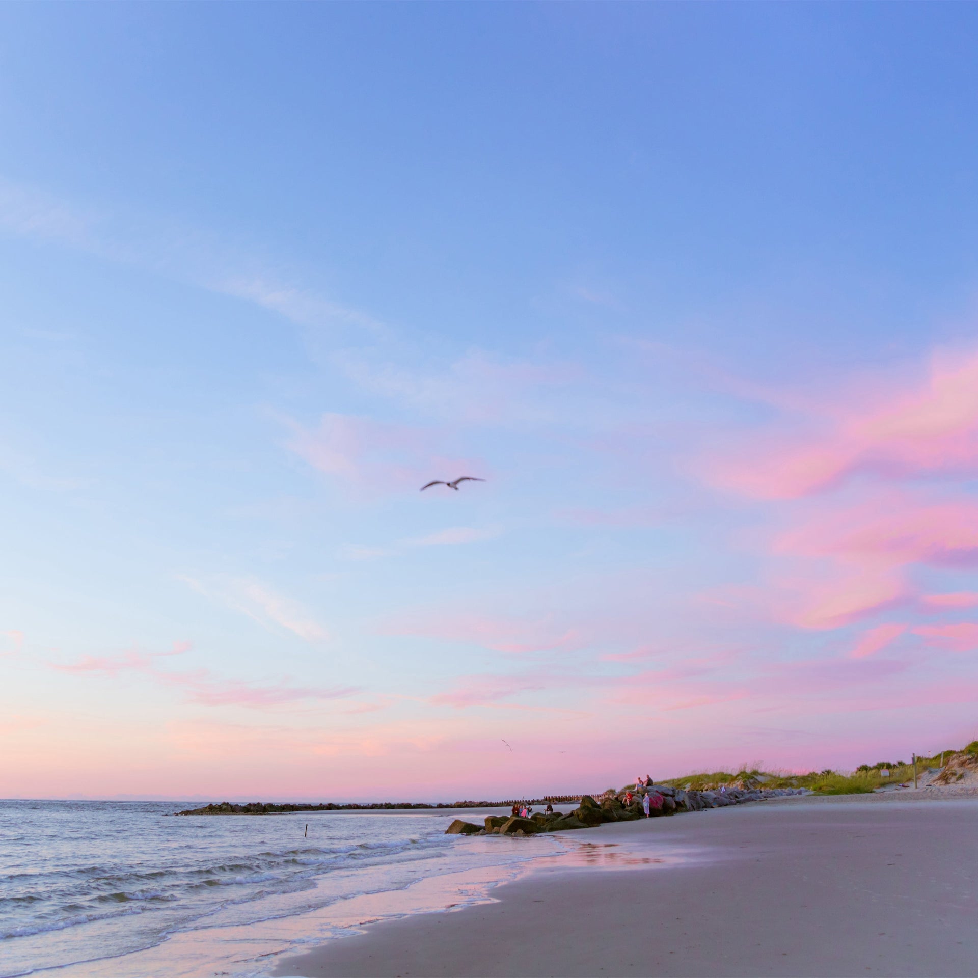  The Twelve: Charleston Edition